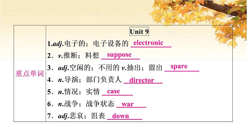 人教版中考英语复习考点精讲二十九年级Units9-10基础检测课件02