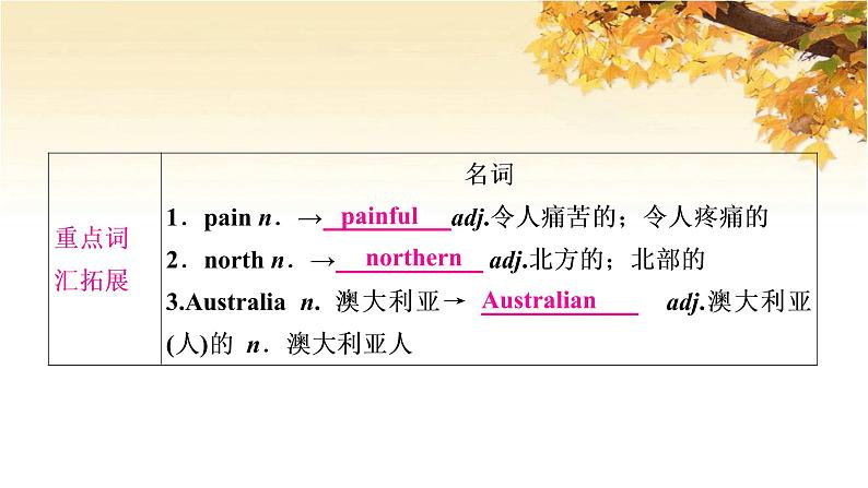 人教版中考英语复习考点精讲二十九年级Units9-10基础检测课件08