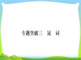 人教版中考英语复习专题突破三冠词练习课件