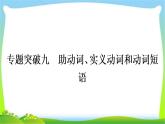 人教版中考英语复习专题突破九助动词、实义动词和动词短语练习课件