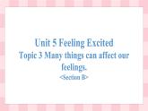 仁爱版八年级英语下册课件 Unit 5 Topic 3 Section B