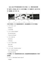 海南省海口市2022-2023学年九年级上学期期末英语试卷（含答案）