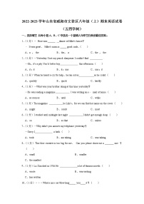 山东省威海市文登区2022-2023学年八年级上学期期末英语试卷（含答案）