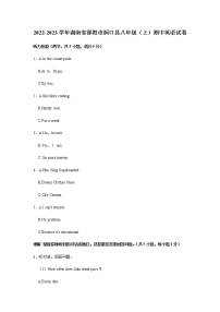 2022-2023学年湖南省邵阳市洞口县八年级（上）期中英语试卷