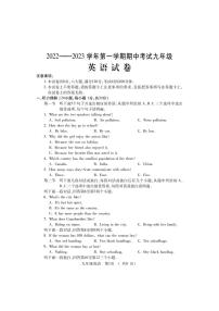 河南省洛阳市嵩县2022-2023学年九年级上学期期中考试英语试题