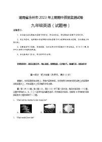 湖南省永州市2022-2023学年九年级上学期期中英语试卷