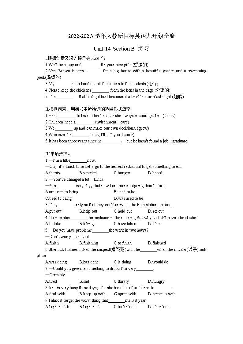 2022-2023学年人教新目标英语九年级全册Unit 14 Section B 练习(无答案)第1页