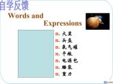 Unit4 Life on Mars Welcome to the unit課件 譯林版英語(yǔ) 九年級(jí)下冊(cè)