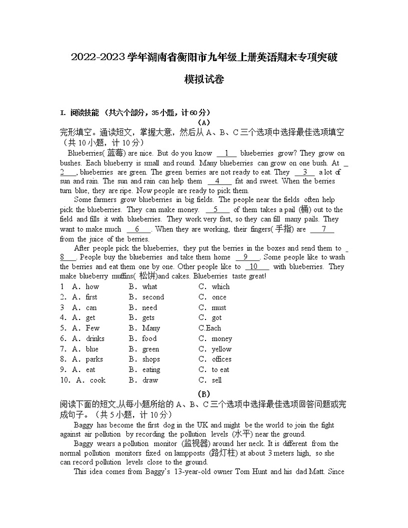 2022-2023学年湖南省衡阳市九年级上册英语期末专项突破模拟试卷（含解析）01