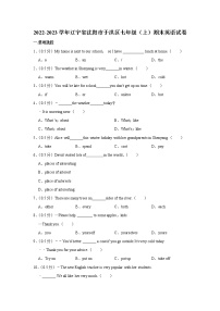 辽宁省沈阳市于洪区2022-2023学年七年级上学期期末英语试题（含答案）