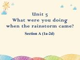Unit5 What were you doing when the rainstorm came？Section A 1a-2c. (3)课件PPT