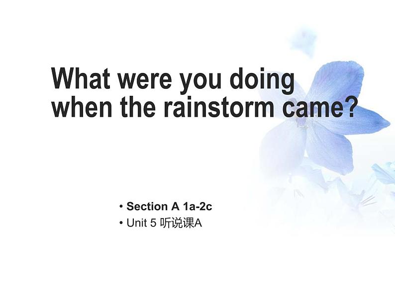 Unit5 What were you doing when the rainstorm came？Section A 1a-2c..课件PPT01