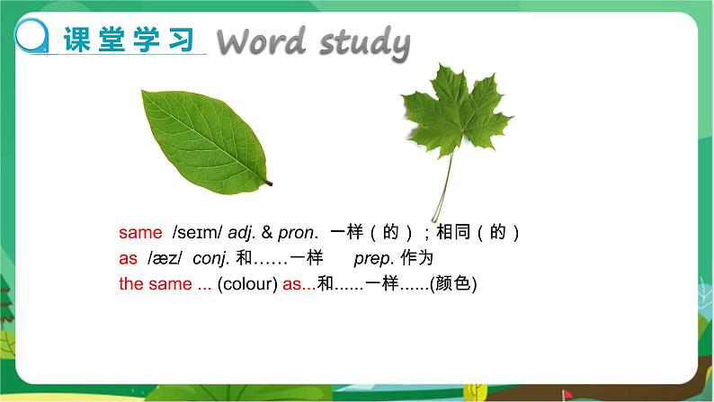 河北教育版中学英语七年级上 UNIT8 Lesson 47 教学课件第5页