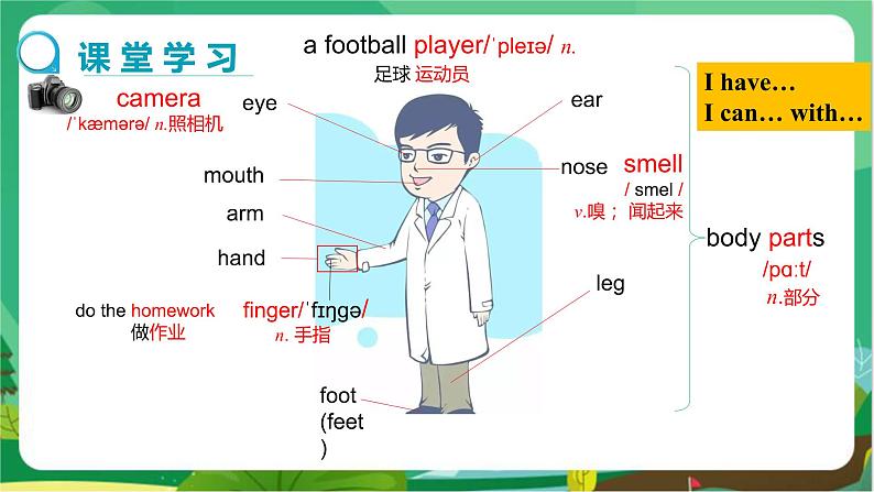 冀教版英语七年级上 UNIT3 Lesson 13 教学课件+教案04