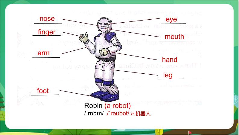 冀教版英语七年级上 UNIT3 Lesson 13 教学课件+教案06