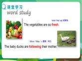冀教版英語七年級上 UNIT6 Lesson 32 教學課件+教案