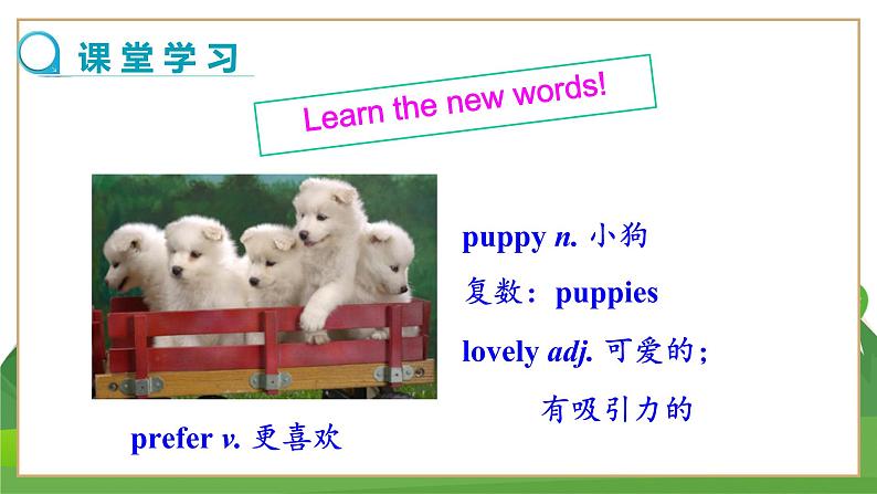 牛津上海版中学英语七年级上Unit 2 Our animal friends Stage 1教学课件+教案07