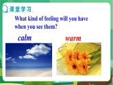 譯林牛津版中學英語九年級上冊Unit 2 Reading教學課件+教案