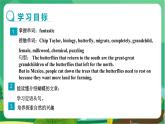 冀教版英語九年級上 Unit 5 Lesson 28 教學課件+教案