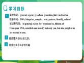 冀教版英语九年级上 Unit 5 Lesson 29 教学课件+教案