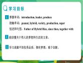 冀教版英語九年級上 Unit 2 Lesson 9 教學(xué)課件+教案