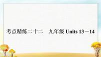 中考英语复习考点精练二十二九年级Units 13－14作业课件