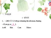 中考英语复习专题突破九助动词、实义动词和动词短语作业课件