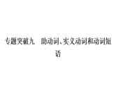 中考英语复习专题突破九助动词、实义动词和动词短语教学课件