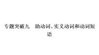 中考英语复习专题突破九助动词、实义动词和动词短语教学课件