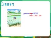 冀教版英语八上  Unit 5 Lesson 28  课件+教案