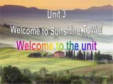 牛津译林版英语七年级下册Unit 3 Welcome to the unit课件PPT