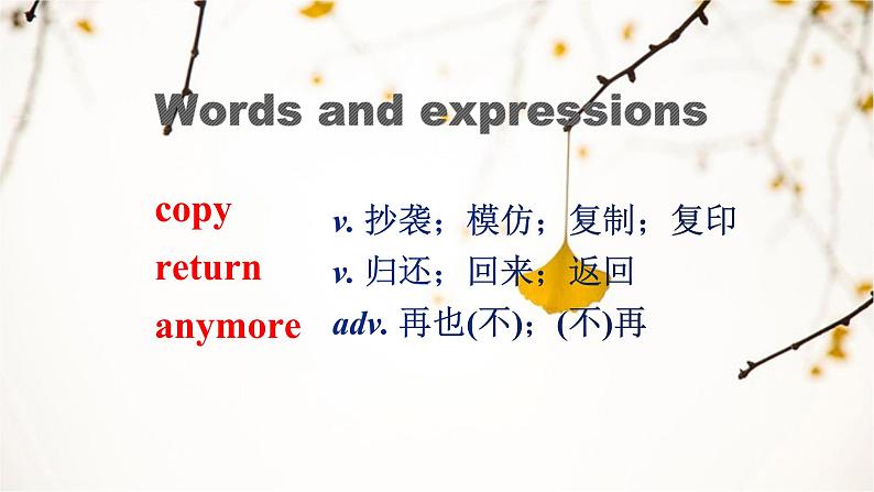 Unit4 SectionA Grammar Focus-4c 课件第2页