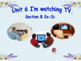 七年级下Unit6 SectionB 2a-2c PPT课件