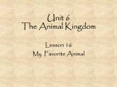 北师大版英语七年级下册Unit 6 The Animal kingdom Lesson 16 My Favorite Animal  课件