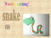 北師大版英語七年級下冊Unit 6 The Animal kingdom Lesson 16 My Favorite Animal  課件