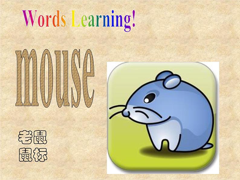 北师大版英语七年级下册Unit 6 The Animal kingdom Lesson 16 My Favorite Animal  课件05