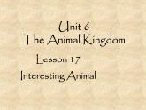 北师大版英语七年级下册Unit 6 The Animal kingdom Lesson 17 Interesting Animal  课件