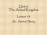 北师大版英语七年级下册Unit 6 The Animal kingdom Lesson 18 An Animal Story  课件