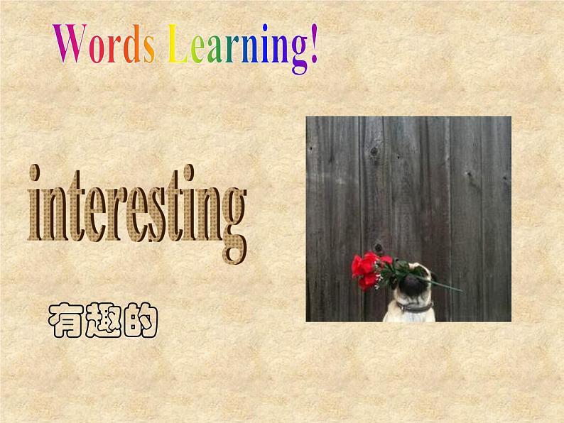 北师大版英语七年级下册Unit 1 Daily Life Daily Life Lesson 2 A Dangerous Job  课件08