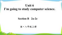 人教新目标 (Go for it) 版Section B课堂教学课件ppt