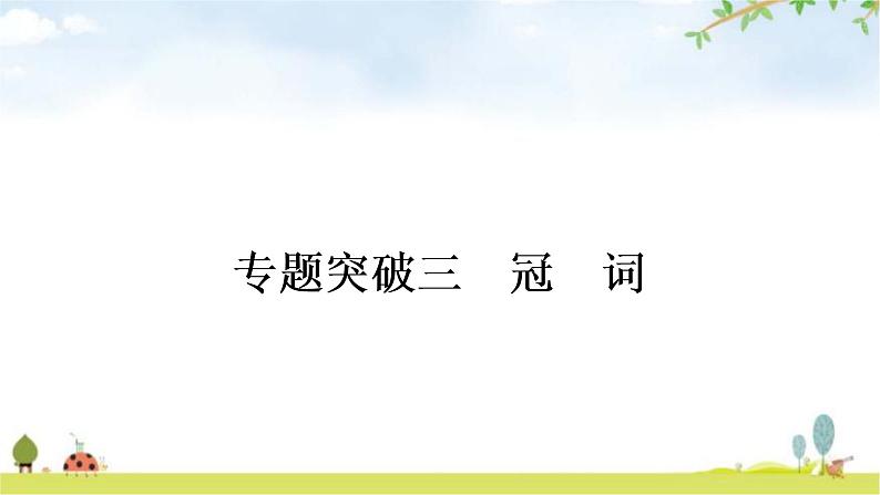 中考英语复习专题突破三冠词作业课件01