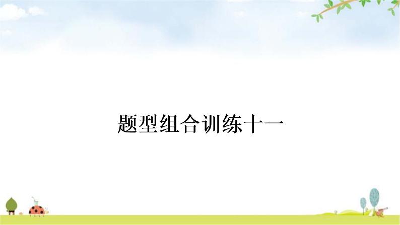 中考英语复习题型组合训练十一作业课件01