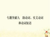 人教版中考英语复习专题突破九助动词、实义动词和动词短语教学课件