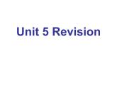 Unit5 Amazing things Revision复习课件 2021-2022学年译林版英语七年级下册