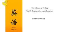 Unit 6 Topic 3【复习课件】——2022-2023学年仁爱版英语八年级下册单元综合复习