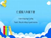 Unit 6 Topic 3【复习课件】——2022-2023学年仁爱版英语八年级下册单元综合复习