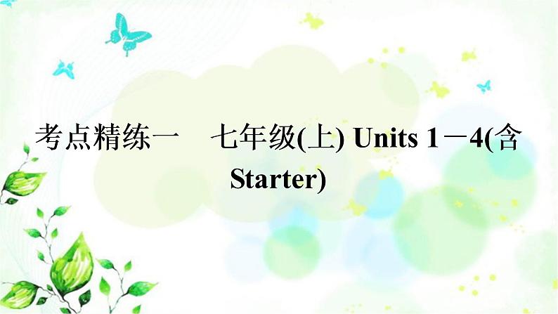 中考英语复习考点精练一七年级(上)Units1－4(含Starter)作业课件01