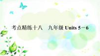 中考英语复习考点精练十八九年级Units5－6作业课件