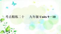 中考英语复习考点精练二十九年级Units9－10作业课件