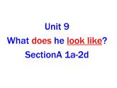 Unit 9  What does he look like_ Section A1a-  2d 课件 2022-2023学年人教版七年级英语下册